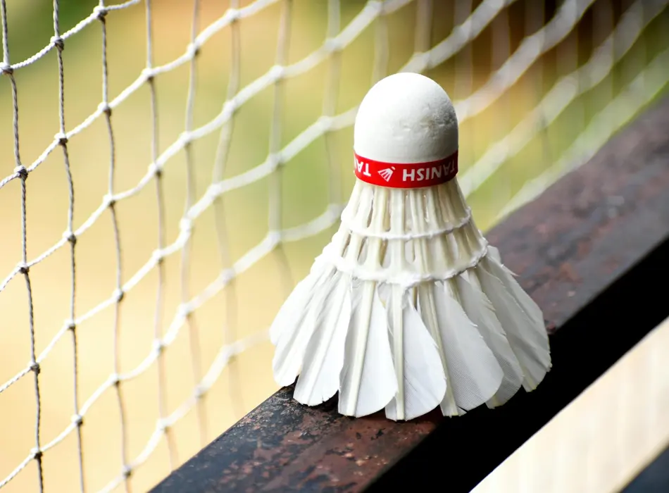 Badminton Filesi