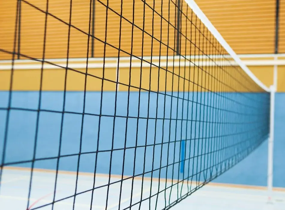 Voleybol Filesi